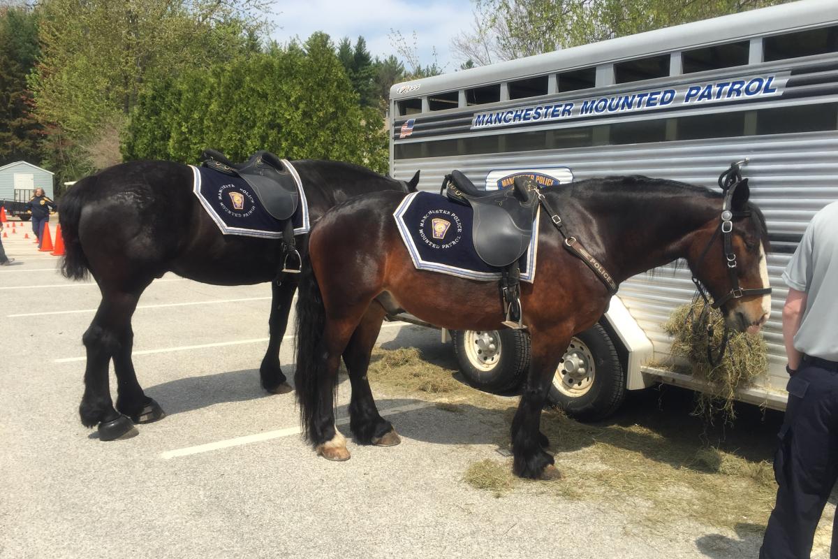 Manchester PD Mounted Units
